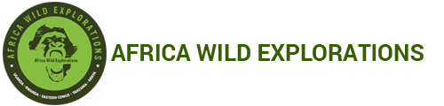Africa Wild Explorations is a luxury safari company offering thrilling experiential tailor-made tours to less travelled paths of Africa.